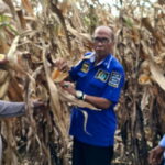 HM Nurnas tinjau kebun jagung yang terserang hama